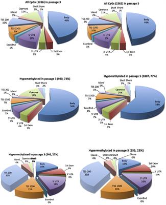 Preeclampsia-Associated Alteration of DNA Methylation in Fetal Endothelial Progenitor Cells